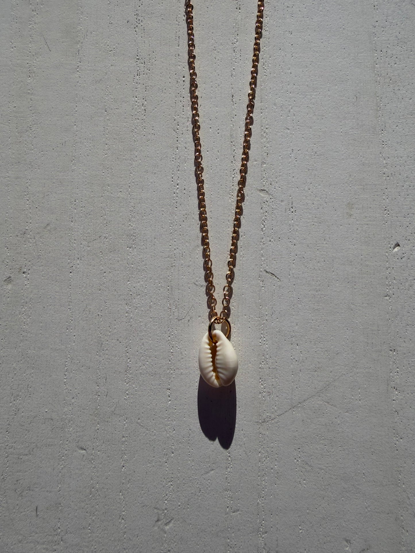 Single Seashell Gold Chain Necklace