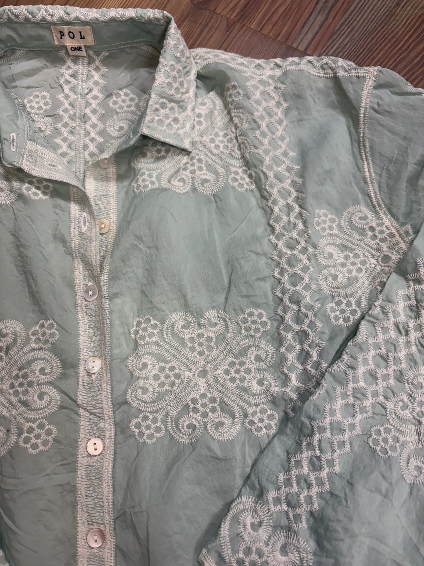 Mint Embroidered Button Down One Size POL
