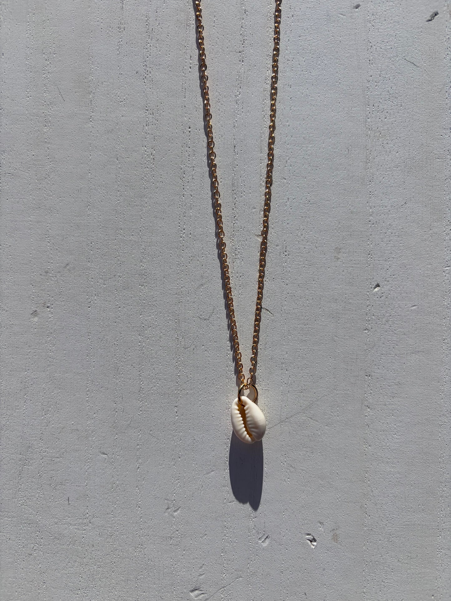 Single Seashell Gold Chain Necklace