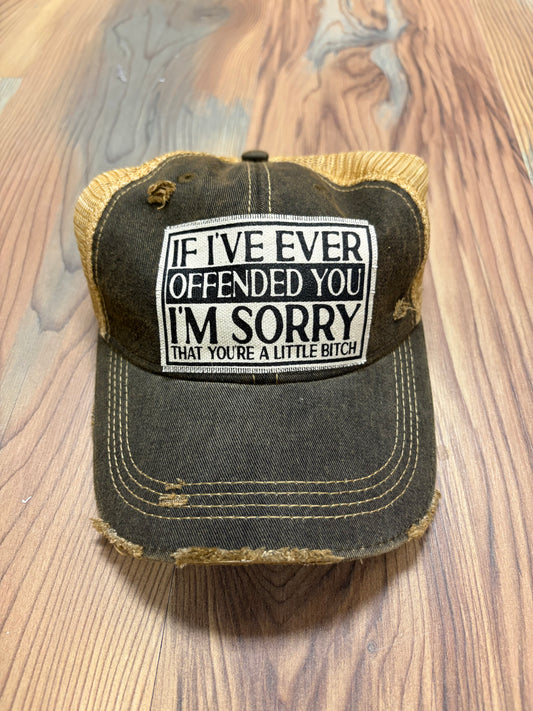 Offended You Cap