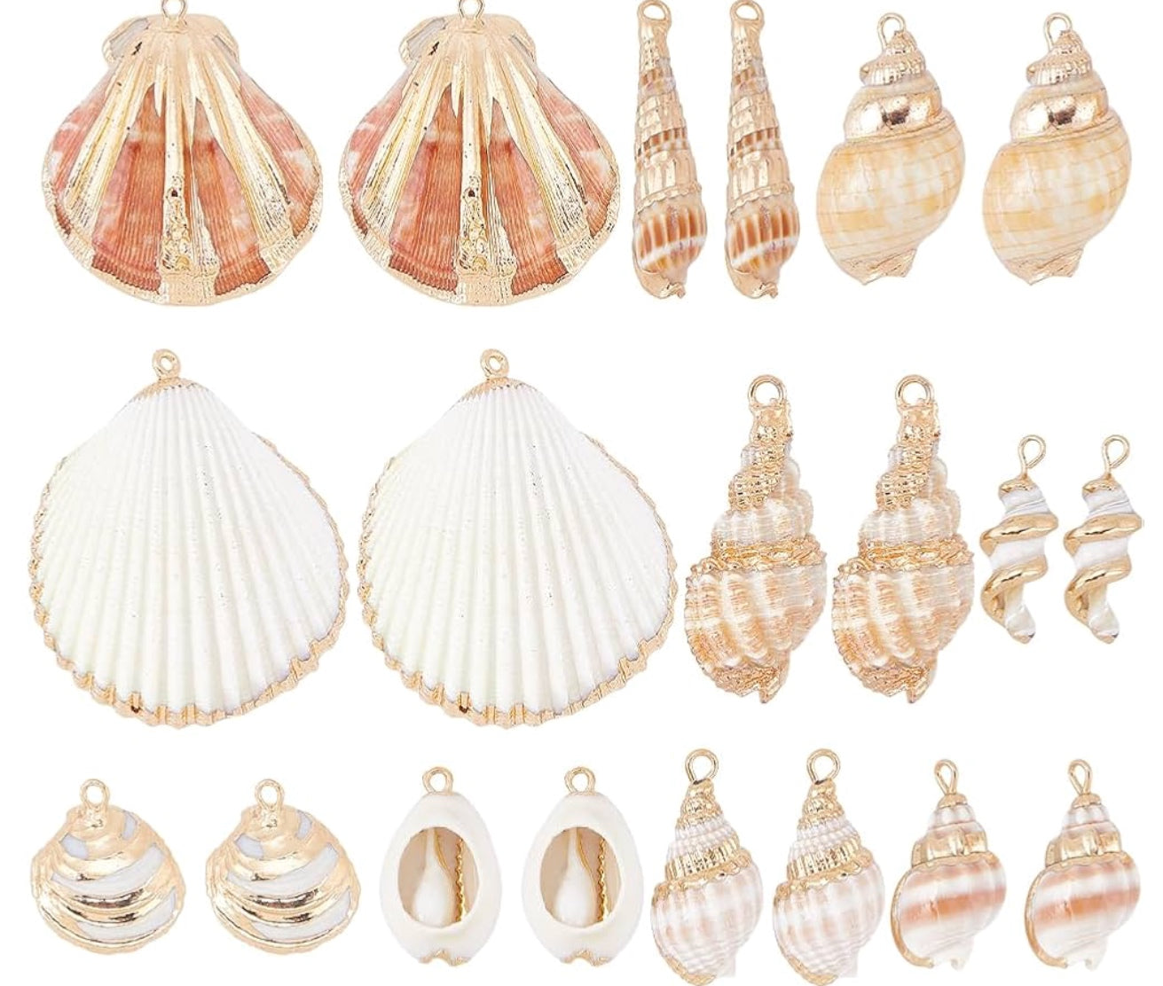 Novelity Shell Novelty Shells – The Teal Tail