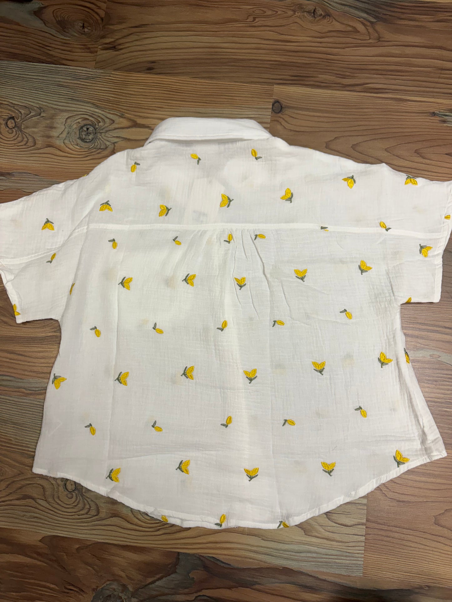 Lemon Short Sleeve Button Down